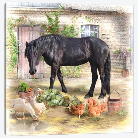 The Stable Yard Canvas Print #TRO137} by Trudi Simmonds Canvas Art Print