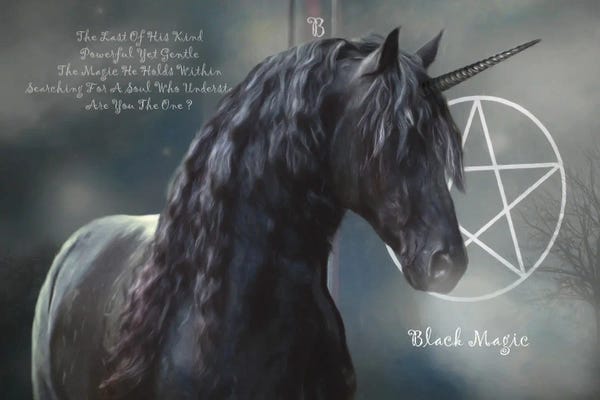 Unicorns: Black Magic by Trudi Simmonds