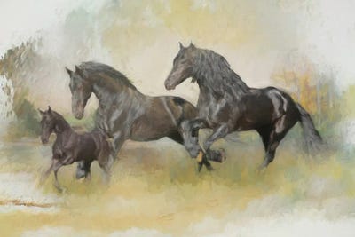 Friesian Family by Trudi Simmonds canvas print