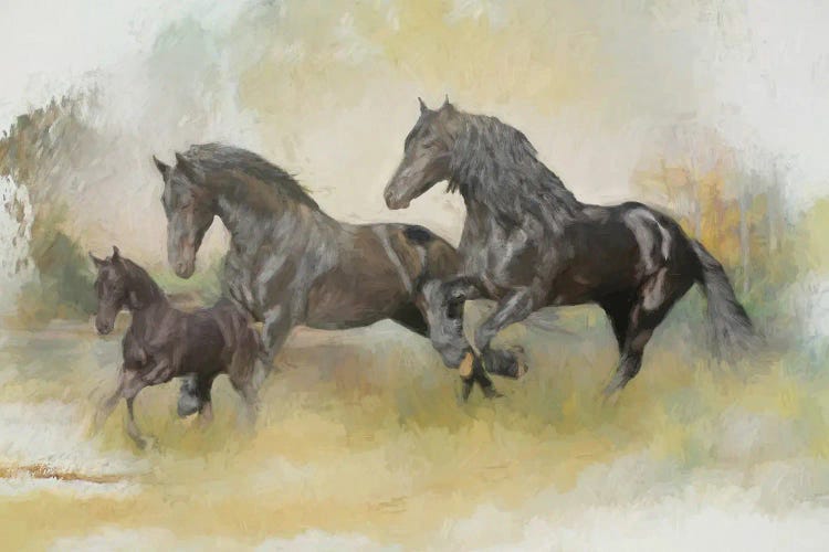 Friesian Family