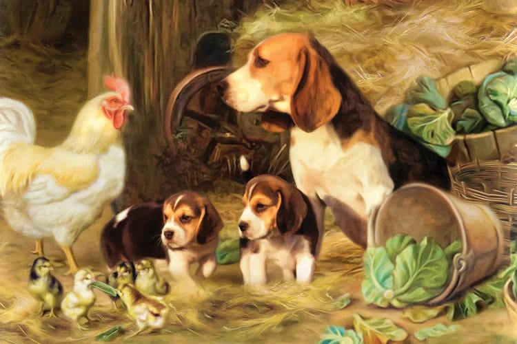 Beagles Around The Barn