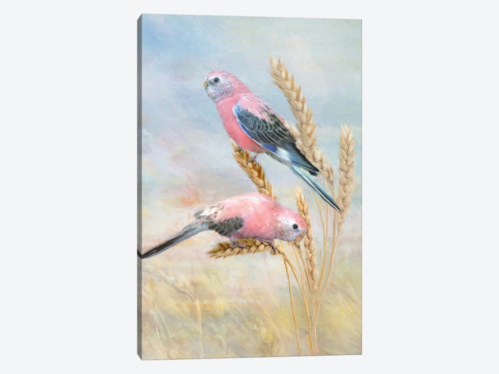 Bourkes Parrot by Trudi Simmonds 1-piece Canvas Print