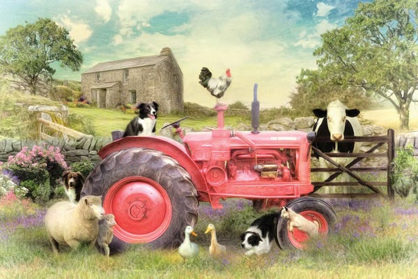 Sheep: Border Patrol by Trudi Simmonds