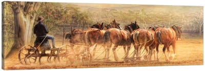 Days In The Dust Canvas Art Print - Carriage & Wagon Art