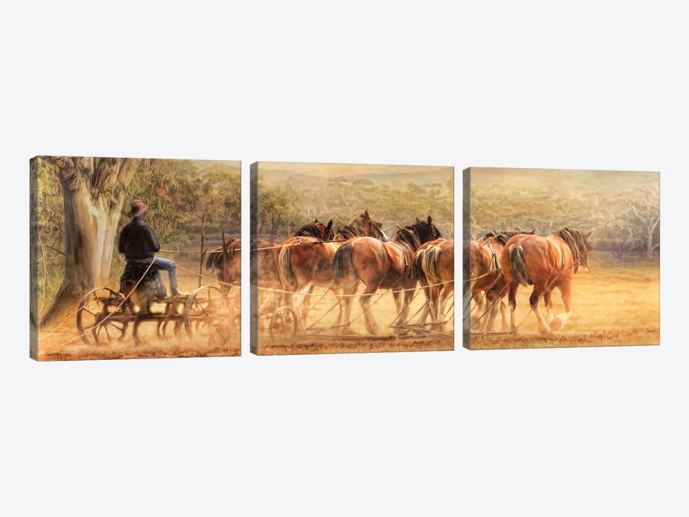 Days In The Dust by Trudi Simmonds 3-piece Canvas Art