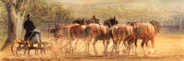 Carriages & Wagons: Days In The Dust by Trudi Simmonds
