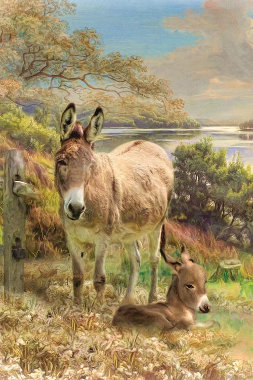 Donkey And Foal