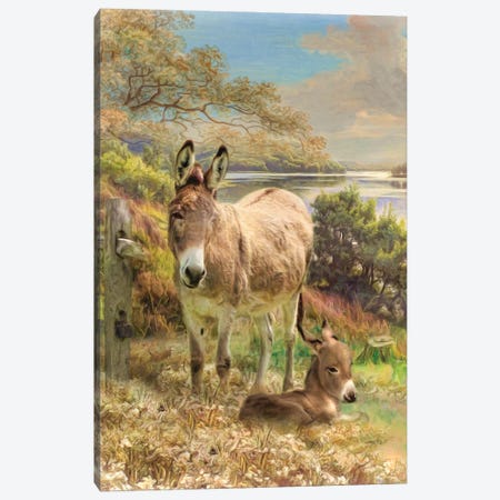 Donkey And Foal Canvas Print #TRO152} by Trudi Simmonds Canvas Artwork