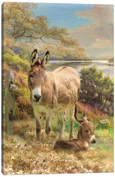 Donkey And Foal Canvas Art Print - River, Creek & Stream Art