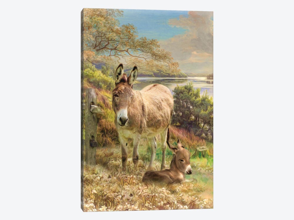 Donkey And Foal by Trudi Simmonds 1-piece Canvas Art Print
