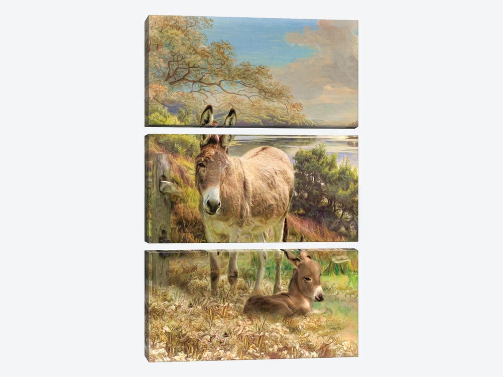 Donkey And Foal by Trudi Simmonds 3-piece Canvas Art Print