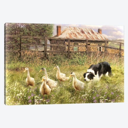 Farmyard Frolicks Canvas Print #TRO154} by Trudi Simmonds Canvas Print