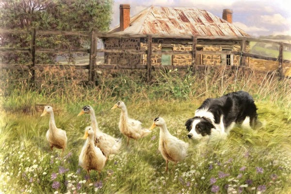 Wildflowers: Farmyard Frolicks by Trudi Simmonds