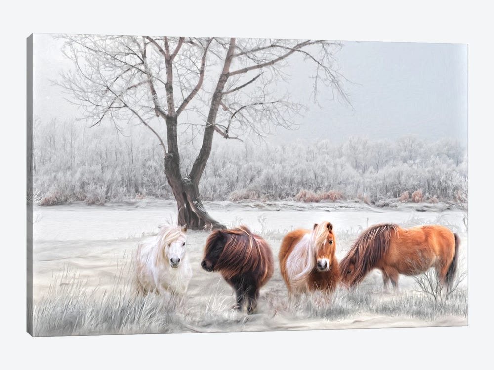 Shetland Ponies In The Snow by Trudi Simmonds 1-piece Canvas Artwork