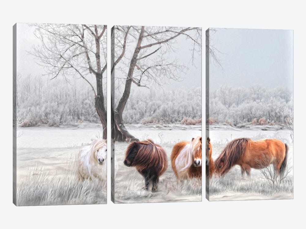 Shetland Ponies In The Snow by Trudi Simmonds 3-piece Canvas Art