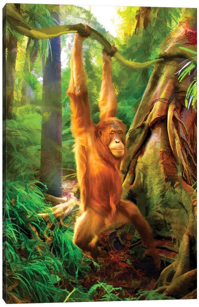Borneo Baby Canvas Art Print - Orangutan Art