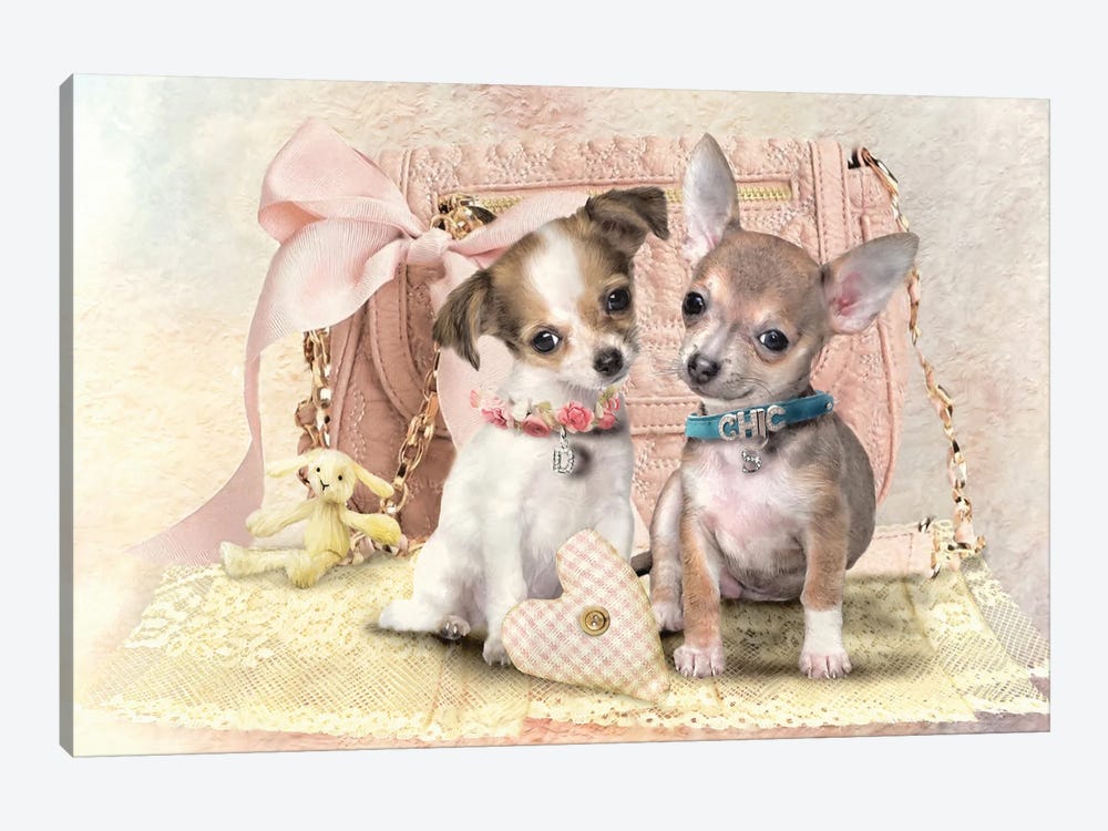 Little Chihuahua by Trudi Simmonds 1-piece Canvas Art