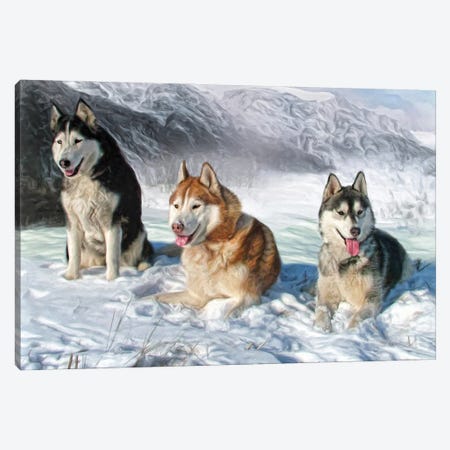 Alaskan Malamute Canvas Print #TRO161} by Trudi Simmonds Art Print