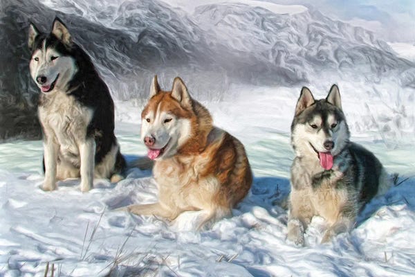 Alaskan Malamutes