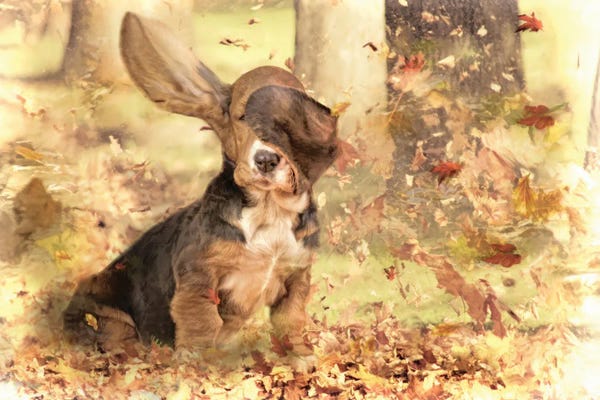 Basset Hounds: Blowing In The Wind by Trudi Simmonds