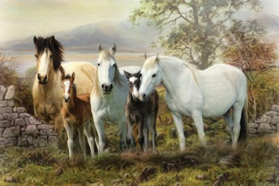 Connemara Ireland by Trudi Simmonds metal wall art