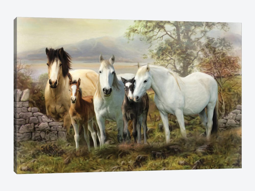 Connemara Ireland by Trudi Simmonds 1-piece Canvas Print