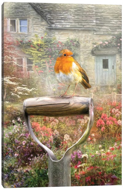 English Robin Canvas Art Print - Gardening Art