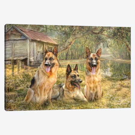German Shepherd Trio Canvas Print #TRO166} by Trudi Simmonds Canvas Art