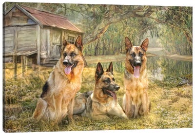 German Shepherd Trio Canvas Art Print - German Shepherd Art