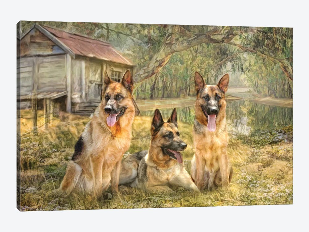 German Shepherd Trio by Trudi Simmonds 1-piece Canvas Wall Art