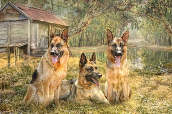 Cabins: German Shepherd Trio by Trudi Simmonds