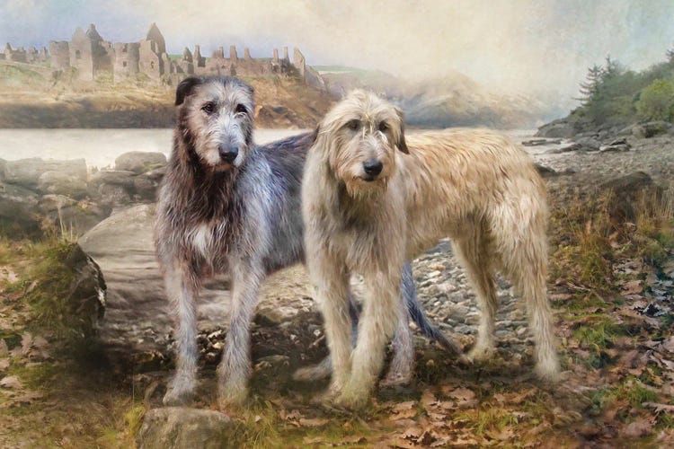 Irish Wolfhounds by Trudi Simmonds wall art