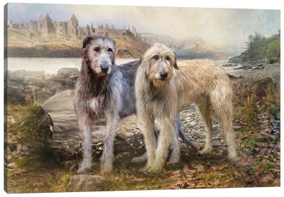 Irish Wolfhounds Canvas Art Print - Hill & Hillside Art