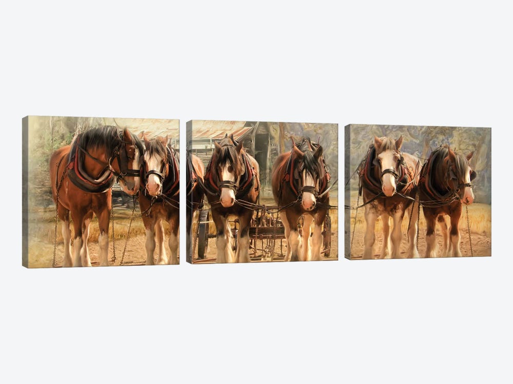 Six On The Hitch by Trudi Simmonds 3-piece Canvas Artwork