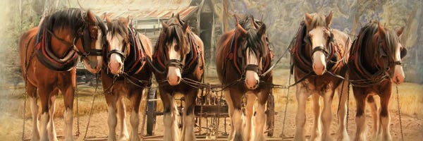 Canvas Print: Six On The Hitch by Trudi Simmonds