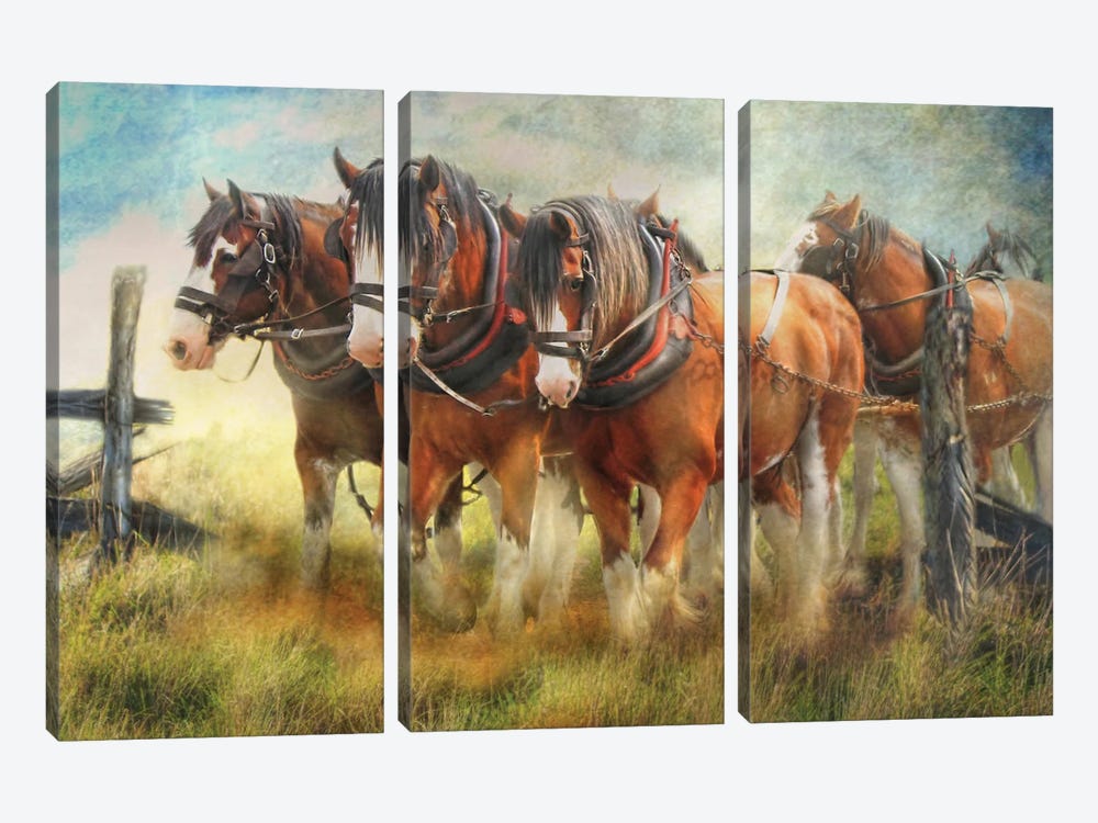 Bringing Them Home by Trudi Simmonds 3-piece Canvas Print