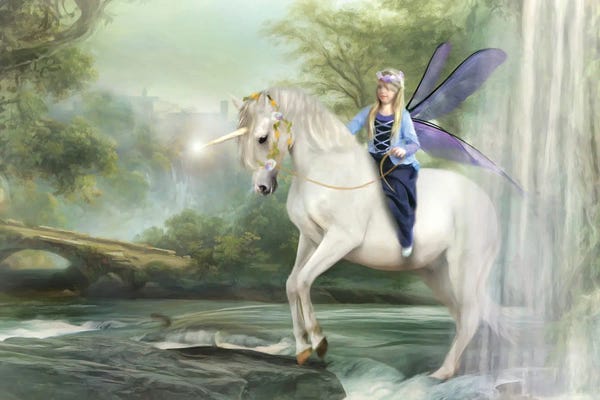 The Secret Lives Of Fairies: Unicorn Dreamer by Trudi Simmonds