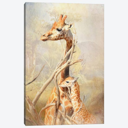 Giraffe Mother And Calf Canvas Print #TRO171} by Trudi Simmonds Canvas Wall Art