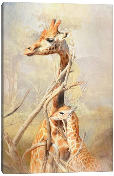 Giraffe Mother And Calf Canvas Art Print - Trudi Simmonds