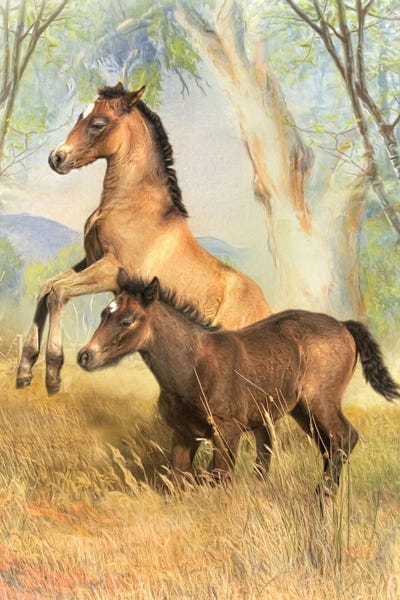 Play Time by Trudi Simmonds metal wall art