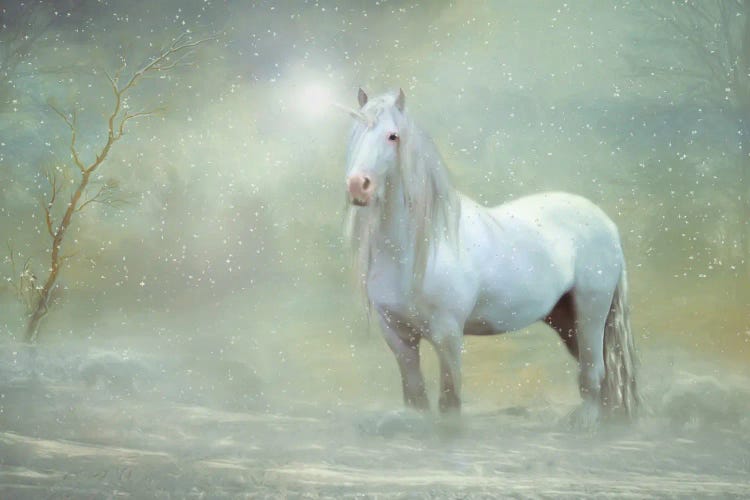 Unicorn Drifter by Trudi Simmonds wall art