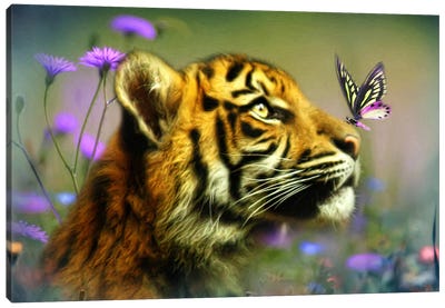 Buddy And The Butterfly Canvas Art Print - Tiger Art