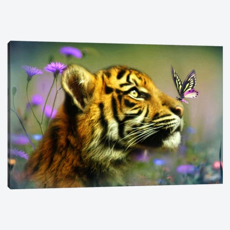 Buddy And The Butterfly Canvas Print #TRO17} by Trudi Simmonds Canvas Art