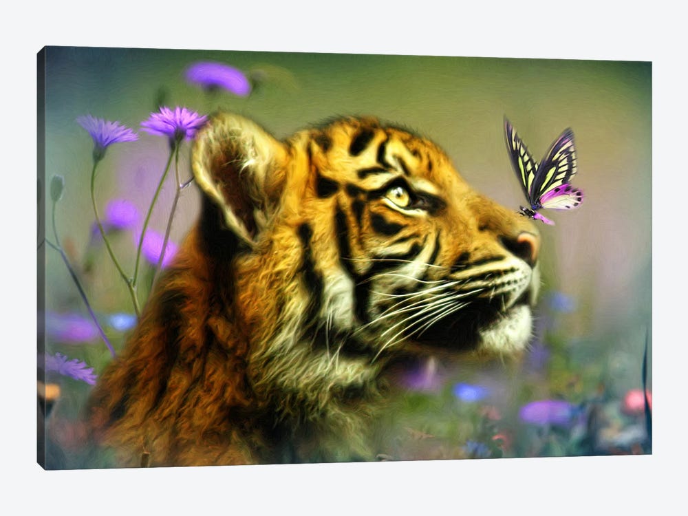 Buddy And The Butterfly by Trudi Simmonds 1-piece Canvas Wall Art