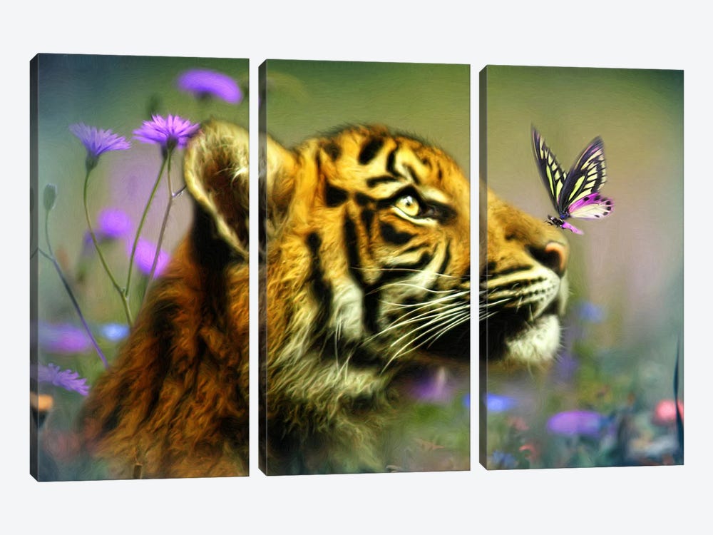 Buddy And The Butterfly by Trudi Simmonds 3-piece Canvas Wall Art