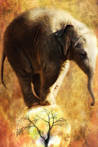 Fine Art Print: Balance by Trudi Simmonds