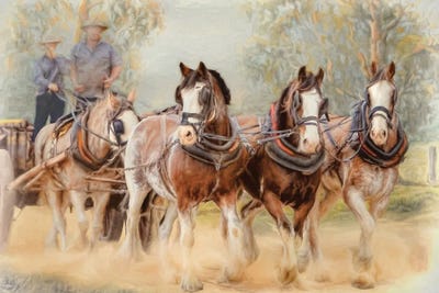 Cream Art - Canvas Prints: Out For A Drive by Trudi Simmonds