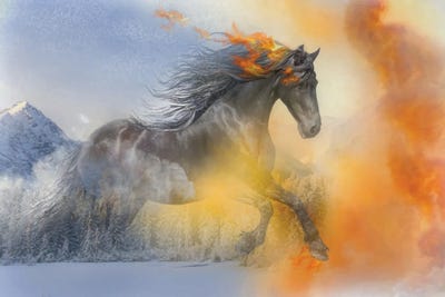 Celery - Canvas Prints: Ice On Fire - 2026 Year Of The Fire Horse by Trudi Simmonds