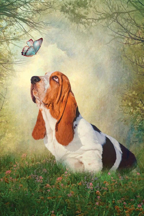 Butterfly Basset by Trudi Simmonds wall art