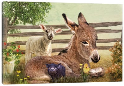 A Little Rest Canvas Art Print - Donkey Art